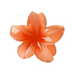 2025 New Hawaiian Gradient Hair Clips Women Flower Hair Claws Shark Hairpins Vacation Beach Style Hairpins Hair Accessories