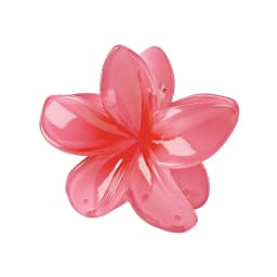 2025 New Hawaiian Gradient Hair Clips Women Flower Hair Claws Shark Hairpins Vacation Beach Style Hairpins Hair Accessories