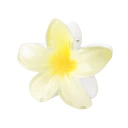 2025 New Hawaiian Gradient Hair Clips Women Flower Hair Claws Shark Hairpins Vacation Beach Style Hairpins Hair Accessories
