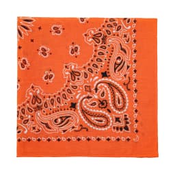 2025 New Fashion Print Paisley Cotton Square Scarf Men Hip-hop Headband Women Hair Band Bandana Motorcycle