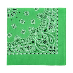 2025 New Fashion Print Paisley Cotton Square Scarf Men Hip-hop Headband Women Hair Band Bandana Motorcycle