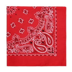 2025 New Fashion Print Paisley Cotton Square Scarf Men Hip-hop Headband Women Hair Band Bandana Motorcycle