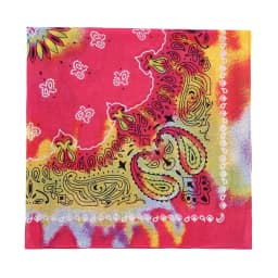 2025 New Fashion Print Paisley Cotton Square Scarf Men Hip-hop Headband Women Hair Band Bandana Motorcycle
