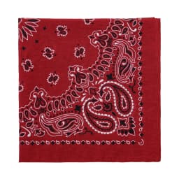 2025 New Fashion Print Paisley Cotton Square Scarf Men Hip-hop Headband Women Hair Band Bandana Motorcycle