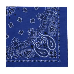 2025 New Fashion Print Paisley Cotton Square Scarf Men Hip-hop Headband Women Hair Band Bandana Motorcycle