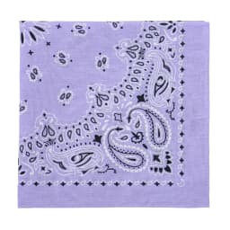 2025 New Fashion Print Paisley Cotton Square Scarf Men Hip-hop Headband Women Hair Band Bandana Motorcycle