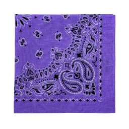 2025 New Fashion Print Paisley Cotton Square Scarf Men Hip-hop Headband Women Hair Band Bandana Motorcycle
