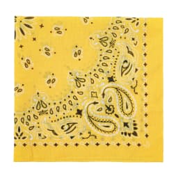 2025 New Fashion Print Paisley Cotton Square Scarf Men Hip-hop Headband Women Hair Band Bandana Motorcycle