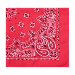2025 New Fashion Print Paisley Cotton Square Scarf Men Hip-hop Headband Women Hair Band Bandana Motorcycle