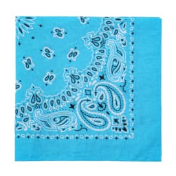 2025 New Fashion Print Paisley Cotton Square Scarf Men Hip-hop Headband Women Hair Band Bandana Motorcycle