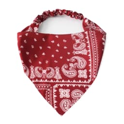 Women Bandana 1pc Women's Fashion Paisley Print Headband, Sun-Protective Sweat-Absorbent Elastic Headwrap, Suitable For Outdoor