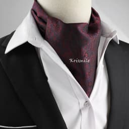 New Design Men's Ascot Scarf Necktie Fashion Paisley Dot Red Yellow Grey Cravat Business Meeting Gentleman Collar Accessory Gift