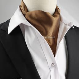 New Design Men's Ascot Scarf Necktie Fashion Paisley Dot Red Yellow Grey Cravat Business Meeting Gentleman Collar Accessory Gift