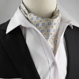 New Design Men's Ascot Scarf Necktie Fashion Paisley Dot Red Yellow Grey Cravat Business Meeting Gentleman Collar Accessory Gift