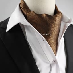 New Design Men's Ascot Scarf Necktie Fashion Paisley Dot Red Yellow Grey Cravat Business Meeting Gentleman Collar Accessory Gift