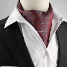 New Design Men's Ascot Scarf Necktie Fashion Paisley Dot Red Yellow Grey Cravat Business Meeting Gentleman Collar Accessory Gift