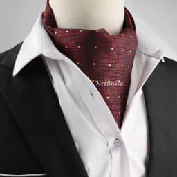 New Design Men's Ascot Scarf Necktie Fashion Paisley Dot Red Yellow Grey Cravat Business Meeting Gentleman Collar Accessory Gift
