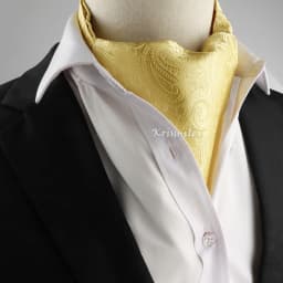 New Design Men's Ascot Scarf Necktie Fashion Paisley Dot Red Yellow Grey Cravat Business Meeting Gentleman Collar Accessory Gift