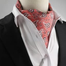 New Design Men's Ascot Scarf Necktie Fashion Paisley Dot Red Yellow Grey Cravat Business Meeting Gentleman Collar Accessory Gift