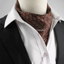 New Design Men's Ascot Scarf Necktie Fashion Paisley Dot Red Yellow Grey Cravat Business Meeting Gentleman Collar Accessory Gift