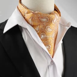 New Design Men's Ascot Scarf Necktie Fashion Paisley Dot Red Yellow Grey Cravat Business Meeting Gentleman Collar Accessory Gift