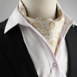 New Design Men's Ascot Scarf Necktie Fashion Paisley Dot Red Yellow Grey Cravat Business Meeting Gentleman Collar Accessory Gift