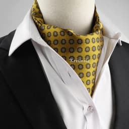 New Design Men's Ascot Scarf Necktie Fashion Paisley Dot Red Yellow Grey Cravat Business Meeting Gentleman Collar Accessory Gift