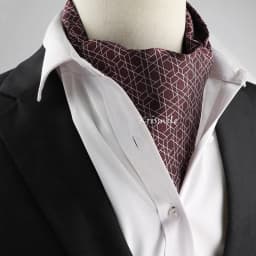 New Design Men's Ascot Scarf Necktie Fashion Paisley Dot Red Yellow Grey Cravat Business Meeting Gentleman Collar Accessory Gift