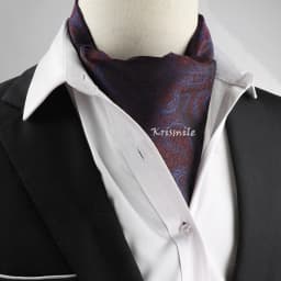 New Design Men's Ascot Scarf Necktie Fashion Paisley Dot Red Yellow Grey Cravat Business Meeting Gentleman Collar Accessory Gift