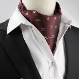 New Design Men's Ascot Scarf Necktie Fashion Paisley Dot Red Yellow Grey Cravat Business Meeting Gentleman Collar Accessory Gift