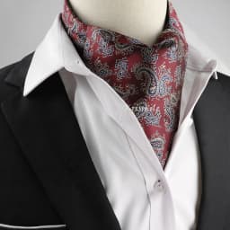 New Design Men's Ascot Scarf Necktie Fashion Paisley Dot Red Yellow Grey Cravat Business Meeting Gentleman Collar Accessory Gift