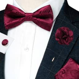 Classic Mens Bow Tie Brown Jacquard Paisley Bowtie Hanky Cufflinks Brooch Set Wedding party Butterfly Knot Gift Man Accessories