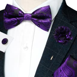 Classic Mens Bow Tie Brown Jacquard Paisley Bowtie Hanky Cufflinks Brooch Set Wedding party Butterfly Knot Gift Man Accessories