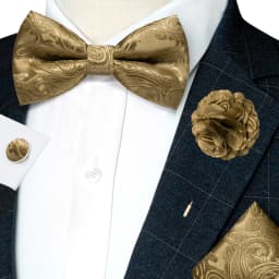 Classic Mens Bow Tie Brown Jacquard Paisley Bowtie Hanky Cufflinks Brooch Set Wedding party Butterfly Knot Gift Man Accessories
