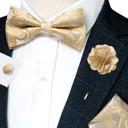Classic Mens Bow Tie Brown Jacquard Paisley Bowtie Hanky Cufflinks Brooch Set Wedding party Butterfly Knot Gift Man Accessories