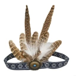 Fashion Ethnic Style Feathered Hairband Colorful Lightweight Hair Ornament Indian Hairband Party