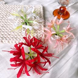 1Pc Super Fairy Lycoris Radiata Hair Clip Aesthetic Side Barrettes Broken Hair Fixed Clip Seaside Photo Hair Accessories Elegant