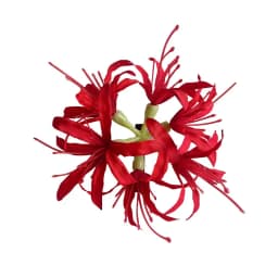 1Pc Super Fairy Lycoris Radiata Hair Clip Aesthetic Side Barrettes Broken Hair Fixed Clip Seaside Photo Hair Accessories Elegant