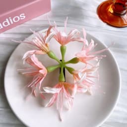 1Pc Super Fairy Lycoris Radiata Hair Clip Aesthetic Side Barrettes Broken Hair Fixed Clip Seaside Photo Hair Accessories Elegant