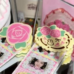 2Pcs Rabbit Animal Hair Clip Set for Women Cute Rose and Bunny Acrylic Barrettes Sweet Design Hairclips Jewelry