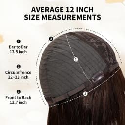 12 Inch Ombre Brown Wigs Human Hair for Women Short Straight Remy Human Hair Wigs With Bangs Brown Natural Hair Real Human Hair