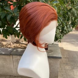 Coppe Brown Short Bob Cut Synthetic Lace Front Wigs for Men Cosplay Wigs for Women Natural Hairline Glueless 13x4 Lace Front Wig