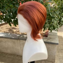 Coppe Brown Short Bob Cut Synthetic Lace Front Wigs for Men Cosplay Wigs for Women Natural Hairline Glueless 13x4 Lace Front Wig