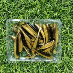 MUKUN 20PCS Micro Soft Fishing Lures 0.35g/35mm T-tail Worm Lure Small Artificial Bait Jig Wobblers Bass Pike Fishing Tackle