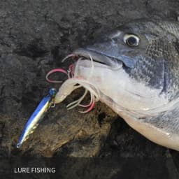 Inchiku Metal Jig Head Lure 80g 100g 120g 150g 180g 200g Luminous Squid Hook Soft Sinking Saltwater Spinning Fishing MarlinLure