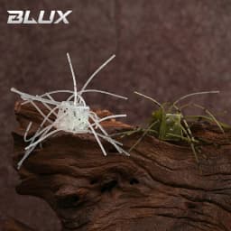 BLUX Dice Rubber 6pcs/lot Soft Bait 12mm 1.8g Handmade Power BFS Fishing Lure Silicone Worm Freshwater Bass Artificial Tackle