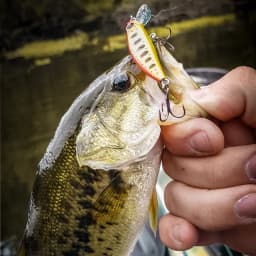 TSURINOYA Intruder 51S Sinking Minnow Stream Fishing Lure 51mm 5.8g Artificial Hard Bait For Trout Ajing Jerkbait River Baits
