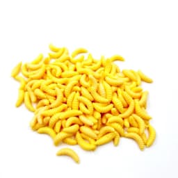 100pcs/box Luminous Silicone Artificial Bread Worm Baits 2cm 0.3g Maggot Grub Soft Fishing Lure Hooks Smell Worms Glow Lures