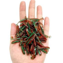 DUODUOYU 10PCS Micro Soft Fishing Lures 0.35g/35mm T-tail Worm Lure Small Artificial Bait Jig Wobblers Bass Pike Fishing Tackle