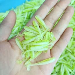 DUODUOYU 10PCS Micro Soft Fishing Lures 0.35g/35mm T-tail Worm Lure Small Artificial Bait Jig Wobblers Bass Pike Fishing Tackle